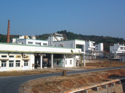 廈鷺電化有限公司燒堿搬遷工程項目(圖1)
