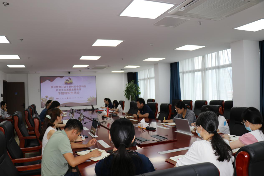 主題教育丨石化設(shè)計院各黨支部召開主題教育專題組織生活會(圖4)